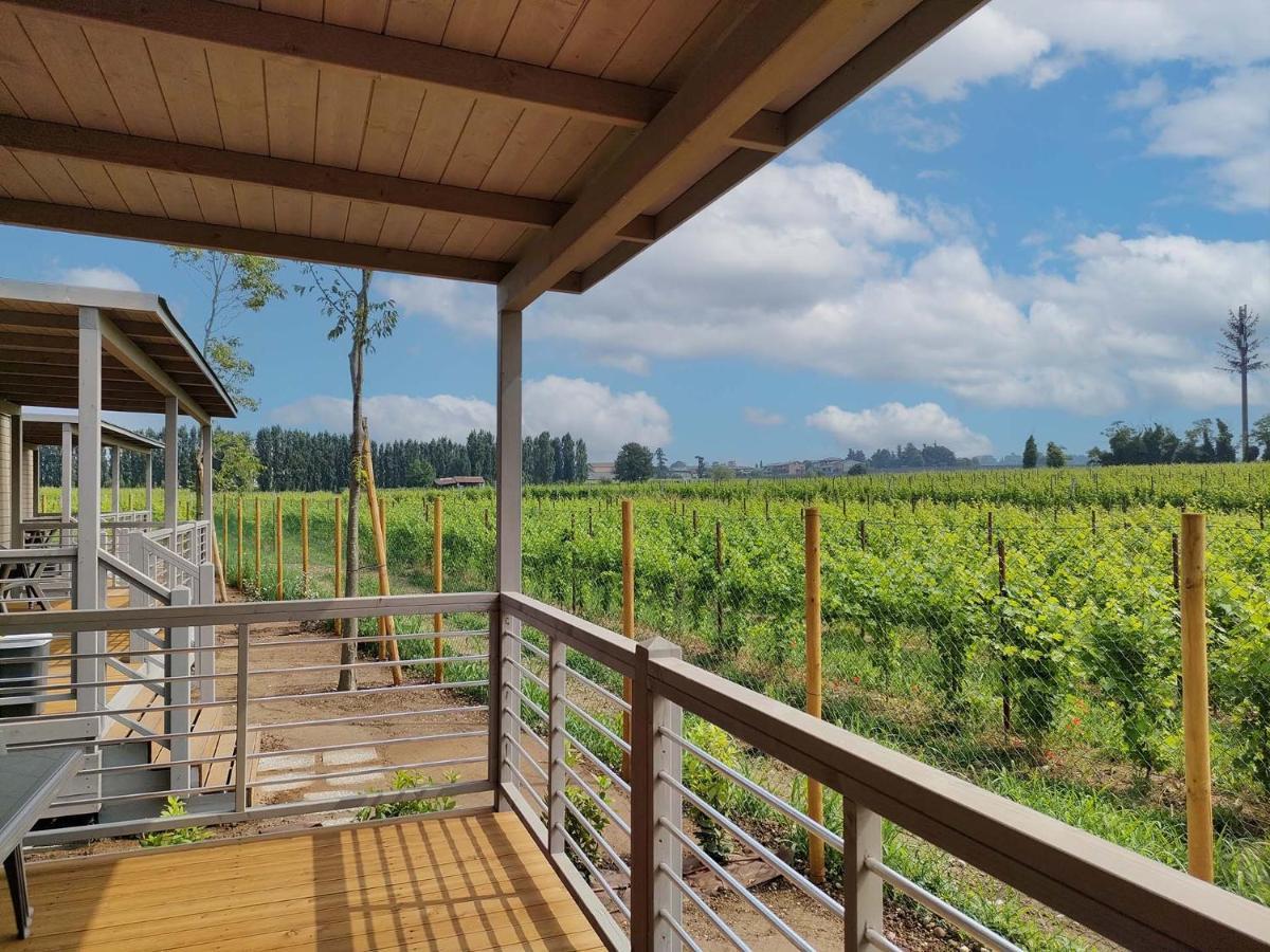 Garda Di Vino Agricamping & Wine Shop Lazise Ronchi  エクステリア 写真